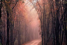 共筑安全路，共享美好行-绵阳-富临外滩花园