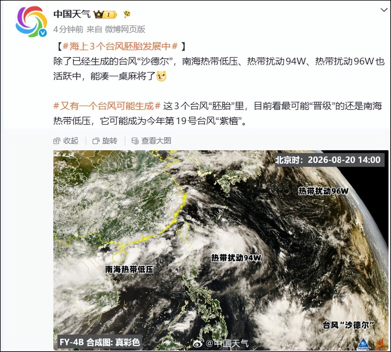 8月已生成10个台风！今年台风，为何如此活跃？