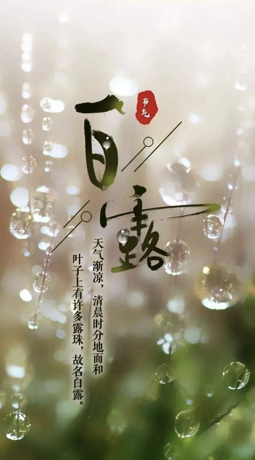 节气物候图鉴：白露至凉意生 全国玉露生凉地图看哪里率先迎秋凉
